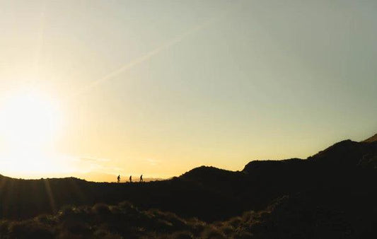 Sud-ouest de la France : Explorez le Royaume Mystique !