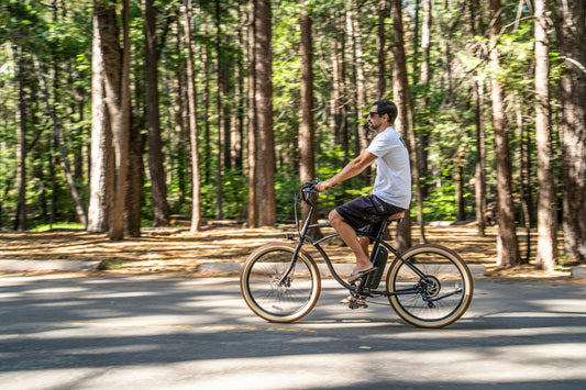 balades dans les Landes