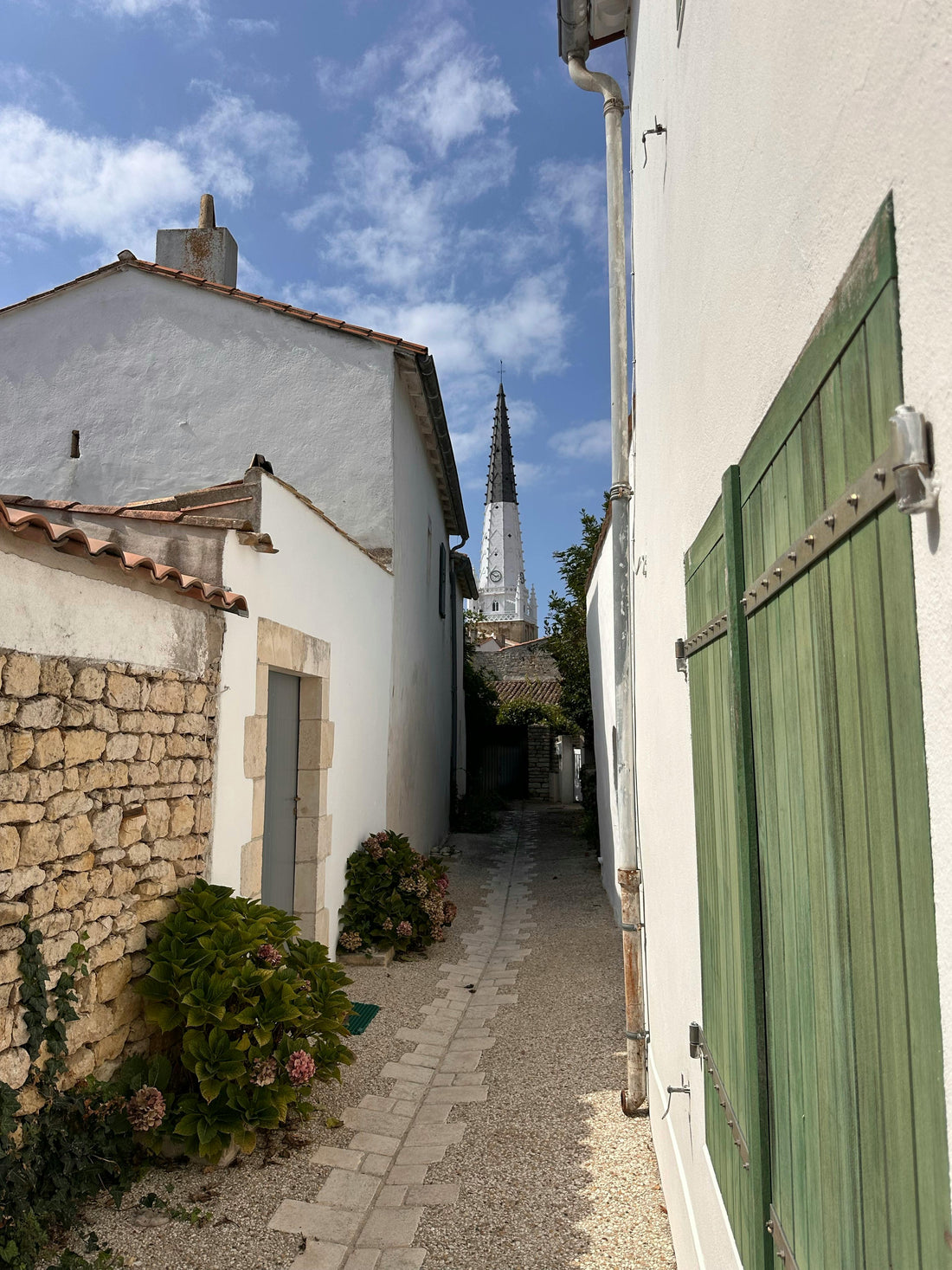 Ruelles blanches et roses trémières de l'Île de Ré, Charente-Maritime