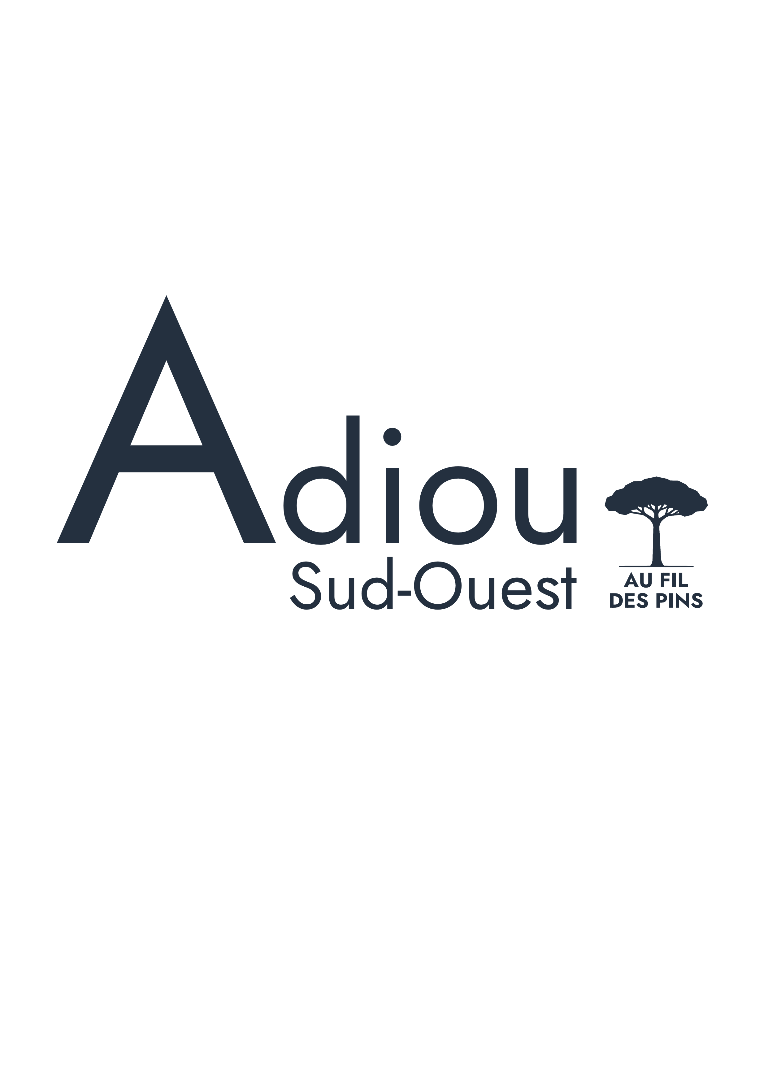 Sweat à capuche Adiou