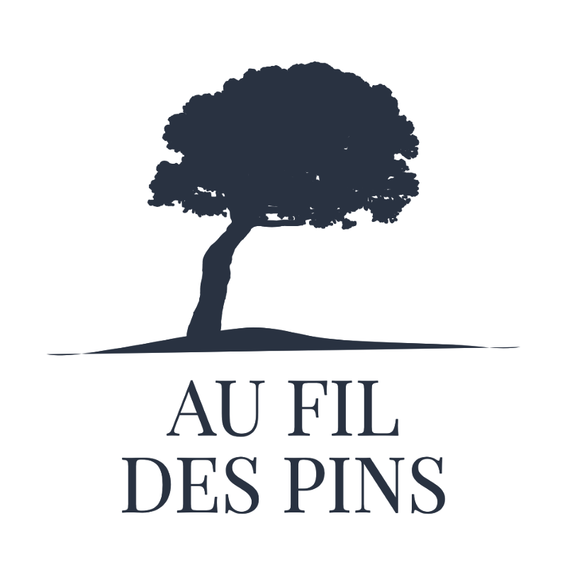 🇫🇷 Tee-shirt français homme coton bio épais – L’Épicurien