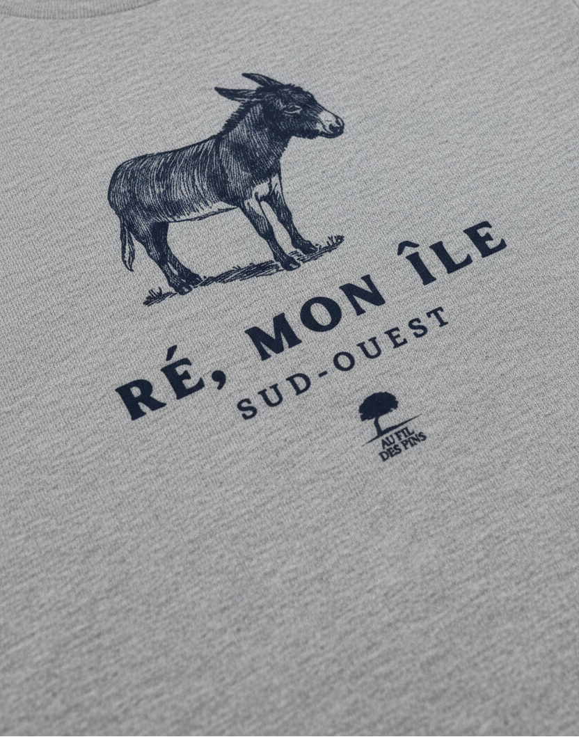Ré mon île - Macro gris chiné correct